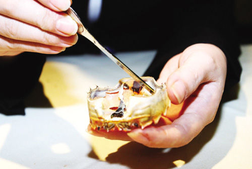 吃螃蟹的工具:用什么工具能輕松吃大閘蟹又不浪費(fèi)