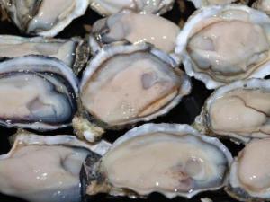 牡蠣如何清洗?牡蠣的清洗方法