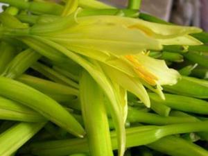 黃花菜怎么做好吃?黃花菜的吃法