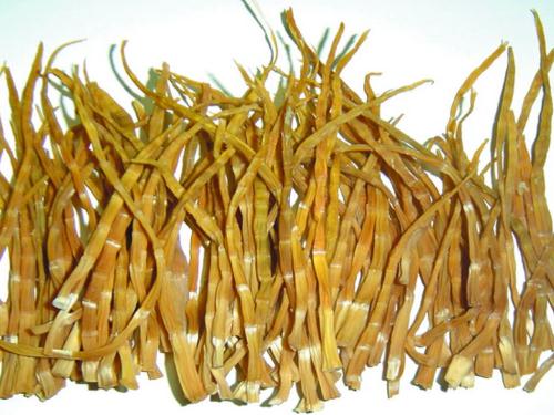 �ɹS��ô�ݰl���ɹS���ݰl����