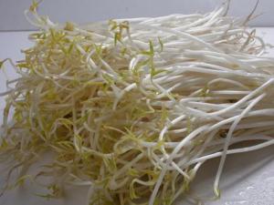 如何挑選優質豆芽?豆芽的挑選方法