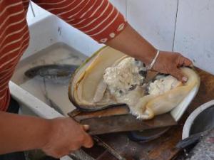 河蚌怎么洗才干凈?河蚌怎么做好吃?河蚌肉的做法