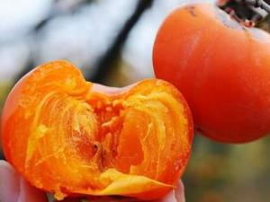 怎么吃柿子不沾手?巧吃柿子不沾手的方法