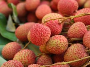 怎樣在冰箱中保鮮荔枝?荔枝儲藏保鮮的方法