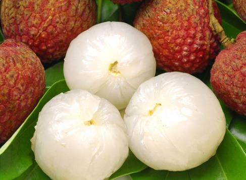 ��֦��α��棿��֦���r����