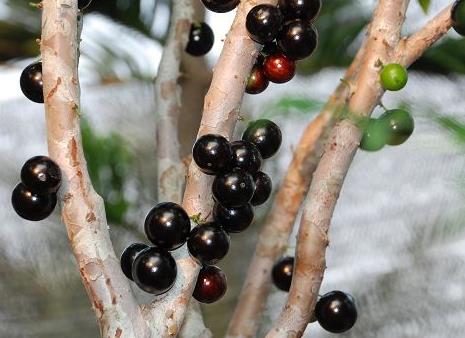 �Ό��������Xһ�����Ό�������xُ