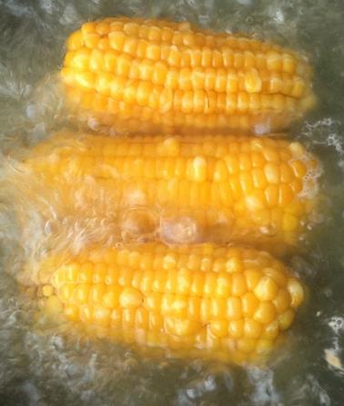 玉米一般要煮多久?玉米煮多久才能熟