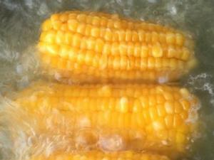玉米一般要煮多久?玉米煮多久才能熟
