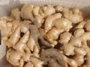 夏季如何保存生姜?夏季保存生姜的小竅門