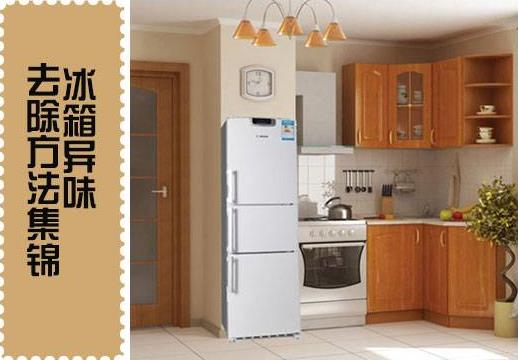 怎樣去除冰箱異味?冰箱除異味妙招大全