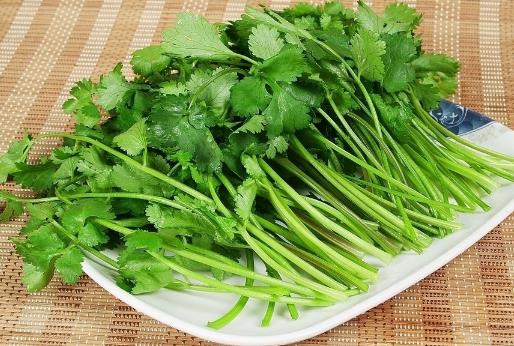 香菜怎么保存時間更長?香菜保鮮的方法