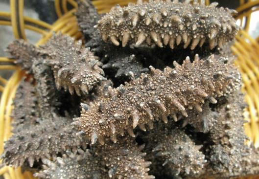 干海參怎么保存?干海參的保存方法