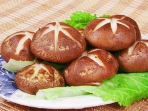 如何挑選香菇?挑選香菇的小竅門