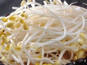 如何識別化學(xué)豆芽?化學(xué)豆芽怎么鑒別