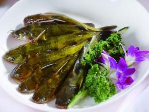 如何選購野生黃辣丁?選購野生黃辣丁的小技巧