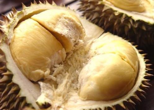 榴蓮怎么存放?榴蓮的保存方法