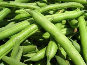 如何挑選新鮮的四季豆?四季豆的選購(gòu)技巧