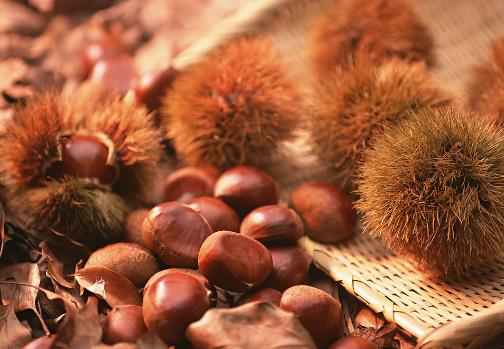 板栗怎么保存?板栗的儲存方法