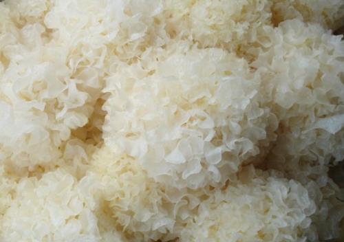 如何鑒別銀耳的質(zhì)量?怎樣挑選優(yōu)質(zhì)的銀耳