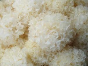 如何鑒別銀耳的質量?怎樣挑選優質的銀耳