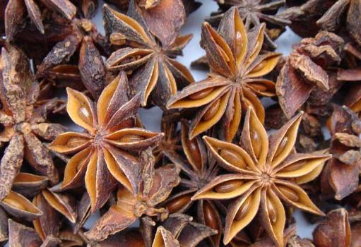 如何辨別假大料?真假大料的鑒別方法