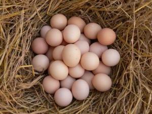 散裝雞蛋保質(zhì)期多長(zhǎng)時(shí)間?長(zhǎng)時(shí)間存放雞蛋營(yíng)養(yǎng)損失