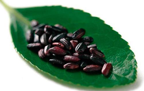 如何鑒別紫米的真假?紫米和黑米的區(qū)別