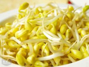如何發黃豆芽?家庭怎么發黃豆芽