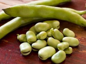 蠶豆怎么做好吃?蠶豆的烹飪技巧