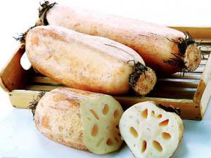 如何挑選新鮮蓮藕?選購蓮藕的注意事項