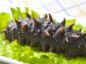 怎樣識別海參真假?如何辨別海參的好壞