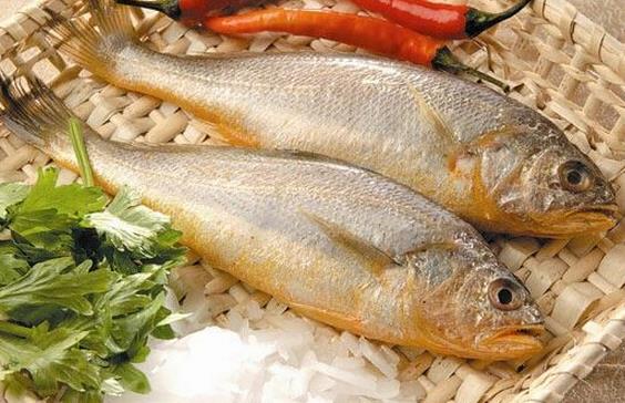 如何辨別染色黃魚?辨別染色黃魚的方法