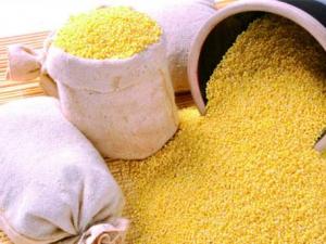 怎么鑒別小米的真假?如何識別染色小米