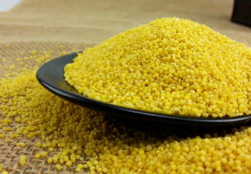 如何保存小米?小米的正確儲存方法