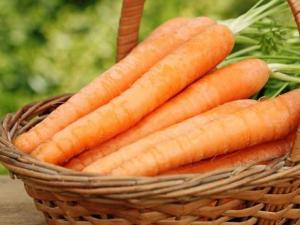 如何儲存胡蘿卜?胡蘿卜怎樣儲存