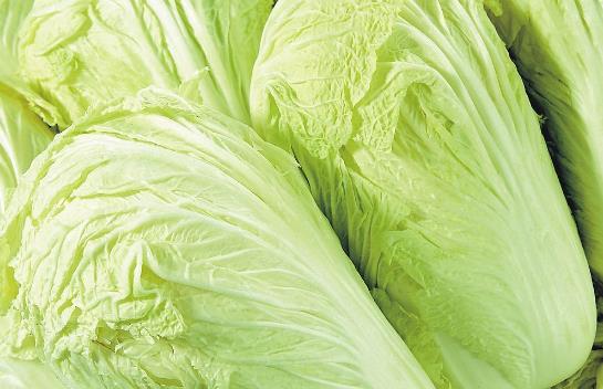 冬季怎樣儲(chǔ)存大白菜?大白菜的儲(chǔ)存方法