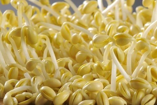 �����R�e���ʶ�ѿ�����ʶ�ѿ��ʲô����