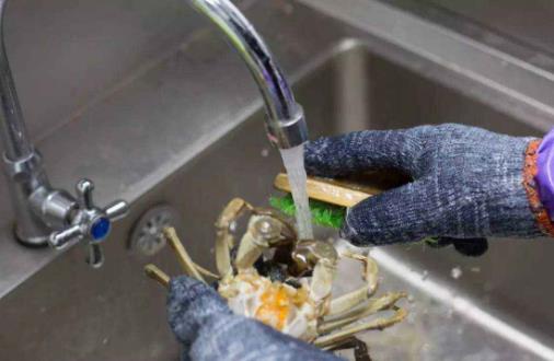 螃蟹怎么清洗最干凈?螃蟹的清洗方法