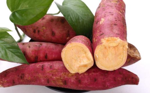 冬天紅薯怎么保存?如何儲(chǔ)存紅薯不會(huì)爛