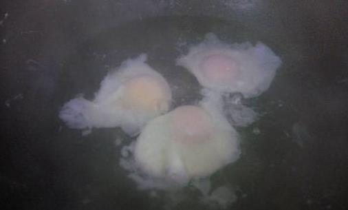 荷包蛋怎么煮不粘鍋 荷包蛋怎么煮不散花