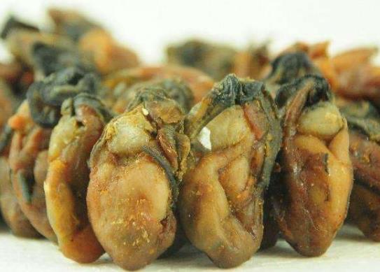 牡蠣如何清洗?牡蠣的清洗方法