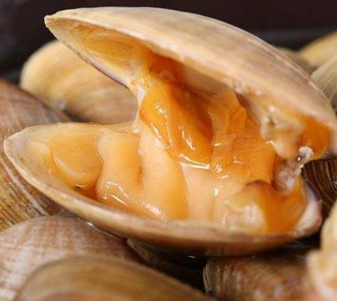 黃蜆子怎么去沙子?黃蜆子的清洗方法