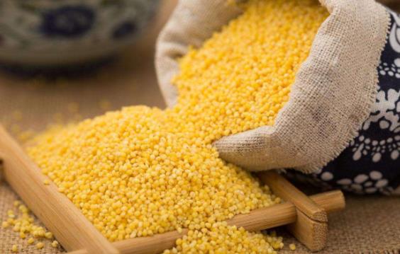 如何保存小米?小米的正確儲存方法