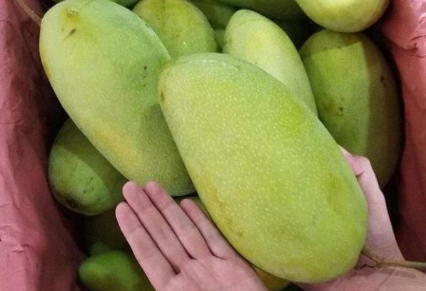 âӲֱӳԆ ôeâ] â