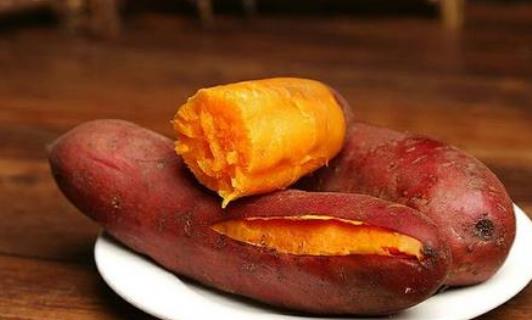 紅薯發(fā)芽了能吃嗎?紅薯有什么功效及作用