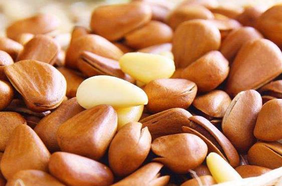 生松子怎么炒開口?松子開口方法鑒別(吃松子好處和禁忌)