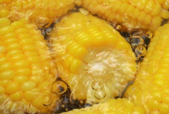 玉米一般要煮多久?玉米煮多久才能熟