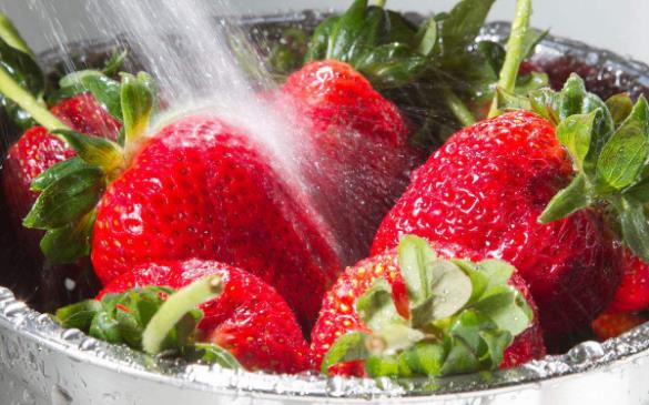 草莓怎么洗才干凈?草莓清洗方法步驟 草莓怎么保存收藏