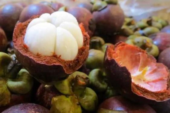 山竹如何剝皮?圖解剝山竹的方法和竅門 山竹怎么挑選和保存保鮮