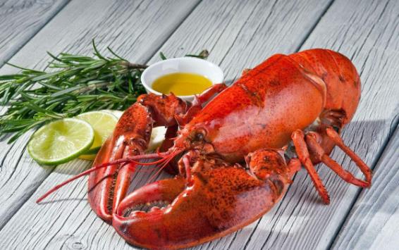 龍蝦怎么洗干凈?龍蝦清洗步驟及活龍蝦保存方法